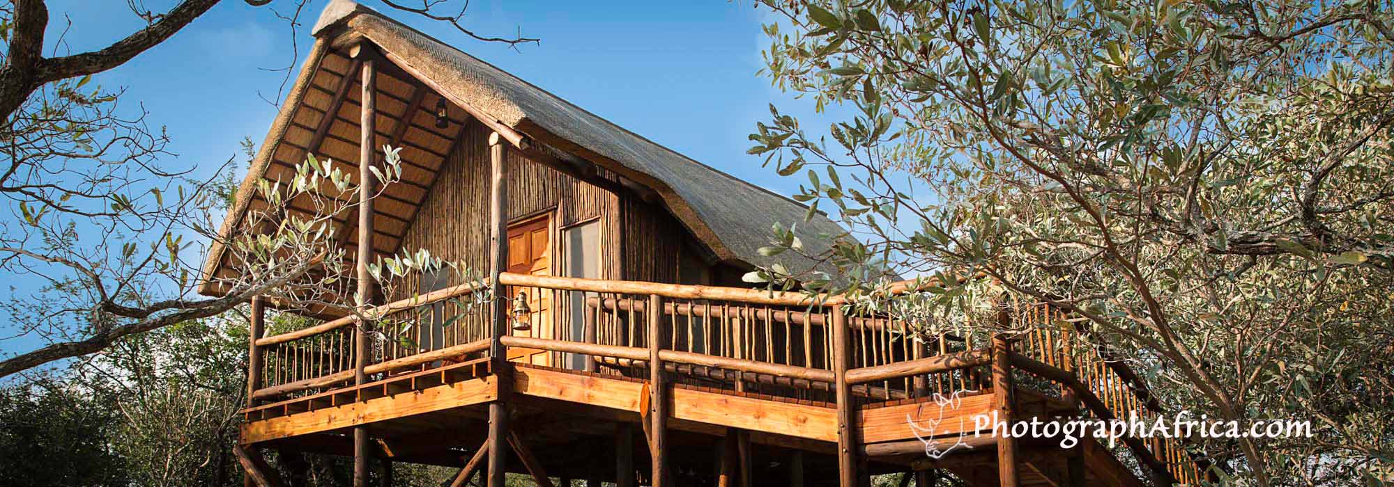 Safari wildlife photography trip